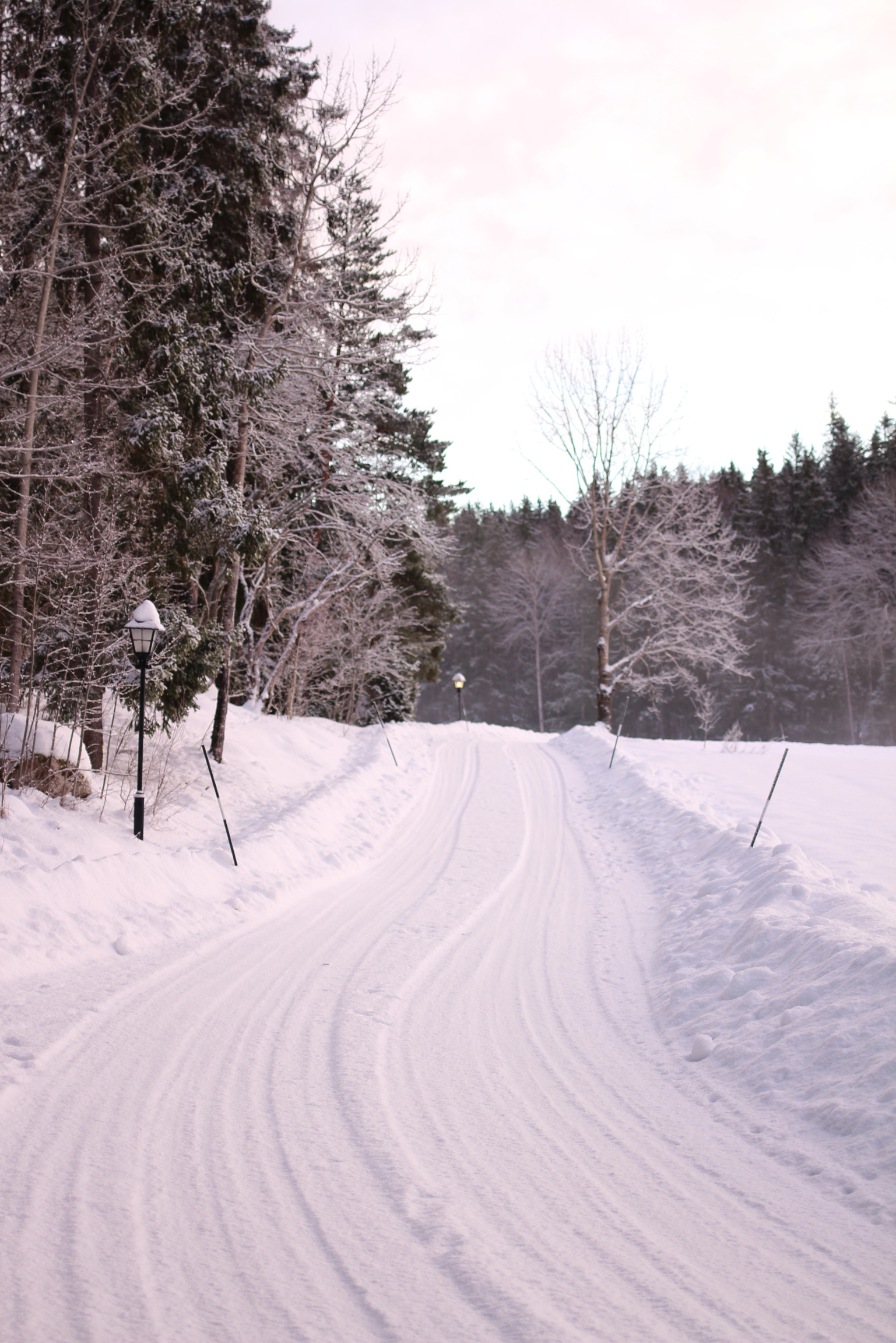 snow scene | IMG 9334